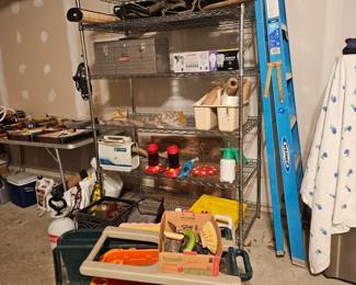 SOLD- LADDER