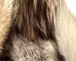 Several beautiful coats available in the sale - all in great condition!
