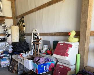 Pet supplies, toys (including Kong), leashes, etc. 