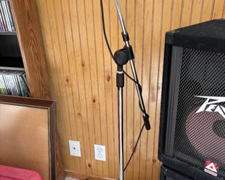 Microphone and stand