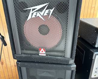 Pair of Peavey Speakers