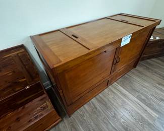 chest