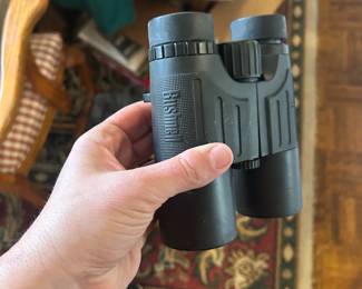 Bushnell Waterproof 10x42 Binoculars 