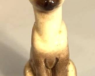Japanese Siamese Cat.