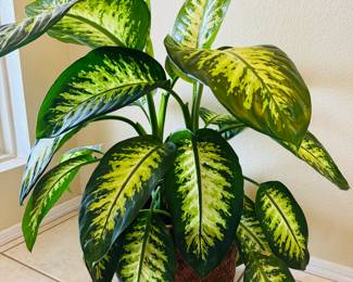 House plants are sold however, are being kept on site for staging.