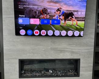 Sony 65" TV