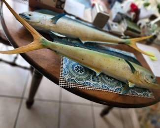 fish, caught by dad