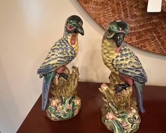Pair of Parrots