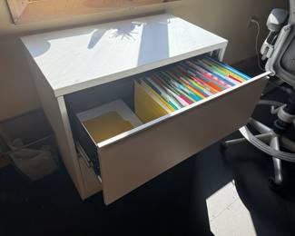 Herman Miller Larger Filing cabinet