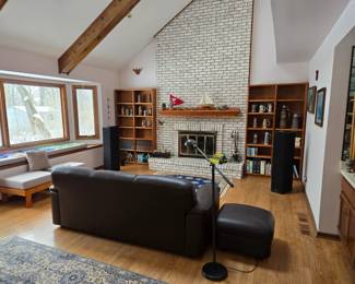 Leather sofa, steins