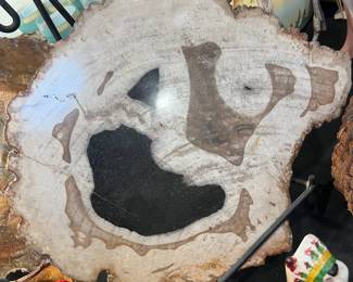 Petrified Wood slab