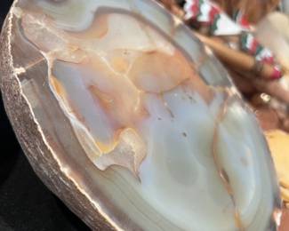 Petrified Rock Piece - Gorgeous