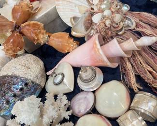 She Sells Seashells by the Seashore