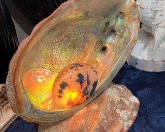 Vintage Shell Lamp