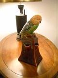 Unmarked pottery Parrot