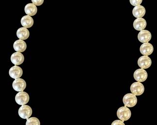 Barse Turquoise Sterling Earrings