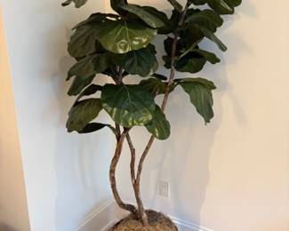 Faux Indoor Tree | Large faux rubber tree plant.
