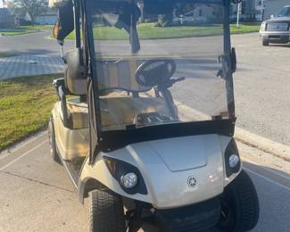 2 seater Gas Golf Cart