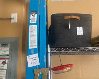 8 foot Ladder