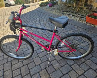 Schwinn bike