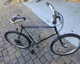 Schwinn bike