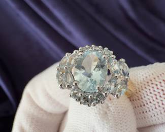 Light Blue Aquarium Ring
Price $ 500