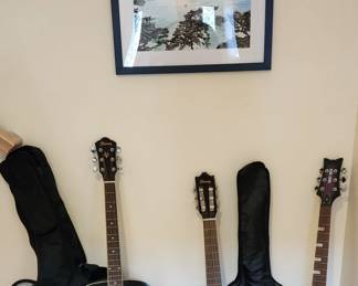 Ibanez & Daisy Rock Guitars