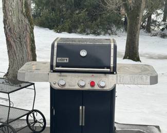 Weber Grill