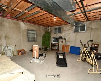 0785Basement