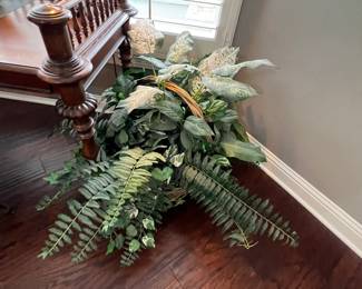 Plants that cannot be killed! 
