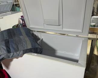 Freezer $30.00 need to remove hand rails and door to get out, bring your own help