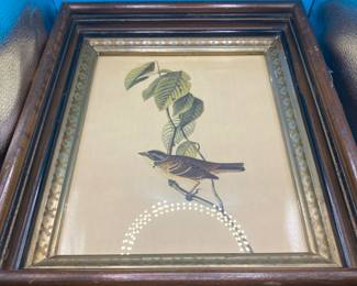 Birds Art