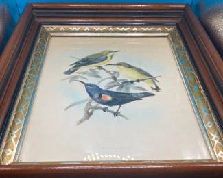 Birds Art