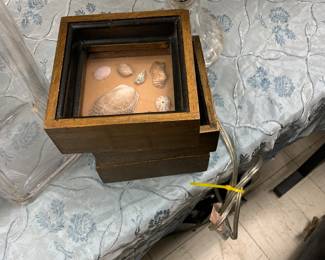 Nc seashell shadow boxes