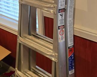 Werner 300lb 21' ladder