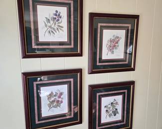 Shirley Hamilton Limited Edition Set