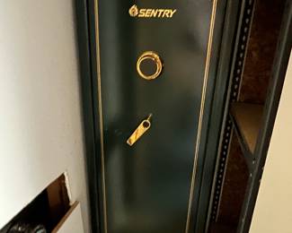 Sentry gun safe