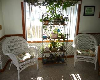rattan chairs / PLANTS