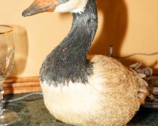 Straw ducks