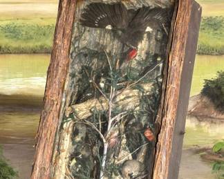 Antique Taxidermy Diorama