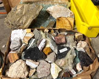 Collectible Rocks Fossils