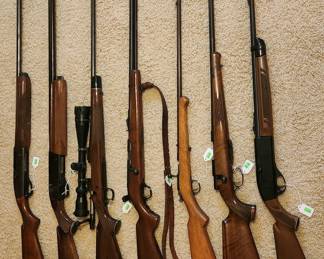 Firearms