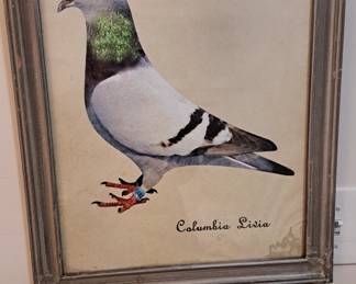 Bird artwork