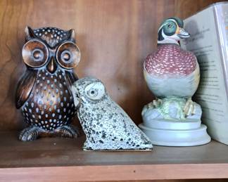 Owls, Andrea wood duck