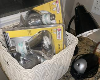 Brand New Outdoor Light Bulbs