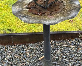 bird bath