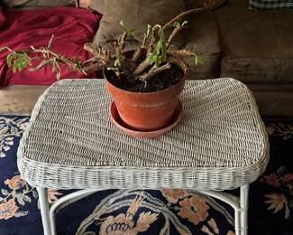 Wicker furniture and potted plants