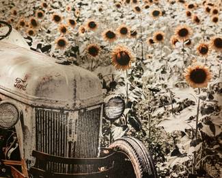 Print on Canvas Ford Motor Car