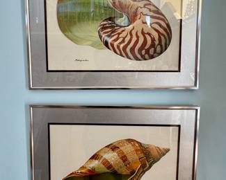 Dimitris Petropoulos Sea shell Wall Art