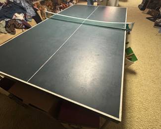 Ping Pong Table